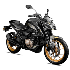 DAYTONA WOLF EVOLUTION 250